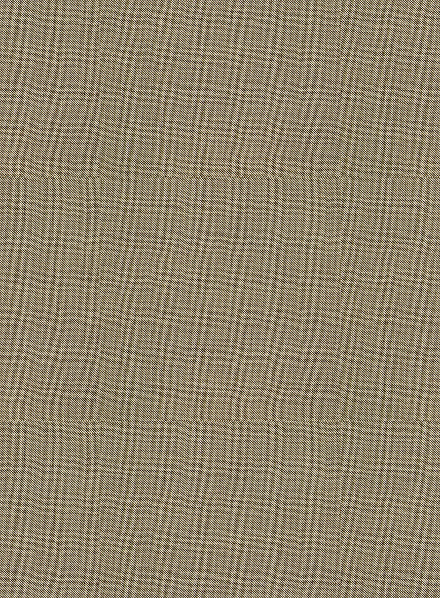 Bristol Beige Sharkskin Pants - StudioSuits