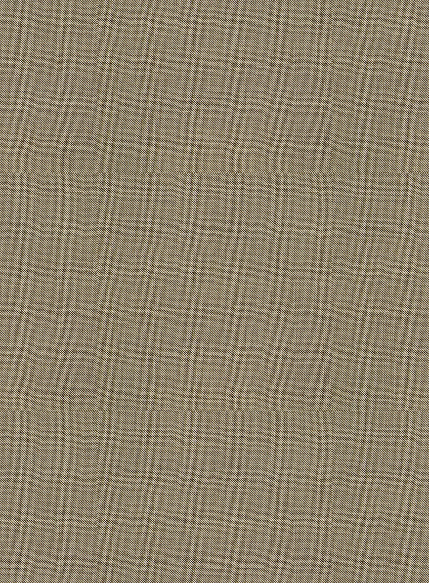 Bristol Beige Sharkskin Suit - StudioSuits