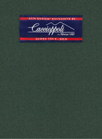 Caccioppoli Sun Dream Green Wool Silk Jacket - StudioSuits
