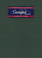 Caccioppoli Sun Dream Green Wool Silk Jacket - StudioSuits