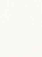 Giza Ivory Cotton Shirt - StudioSuits