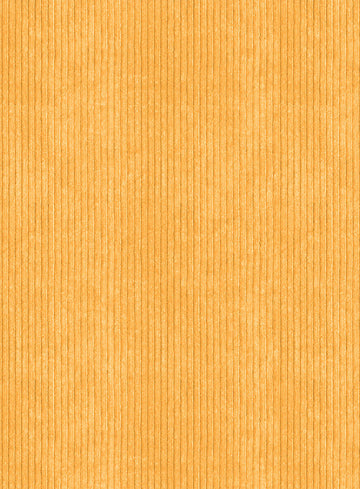 Naples Yellow Thick Corduroy Pants - StudioSuits