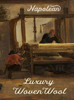 Napolean Gray Birdseye Wool Jacket - StudioSuits
