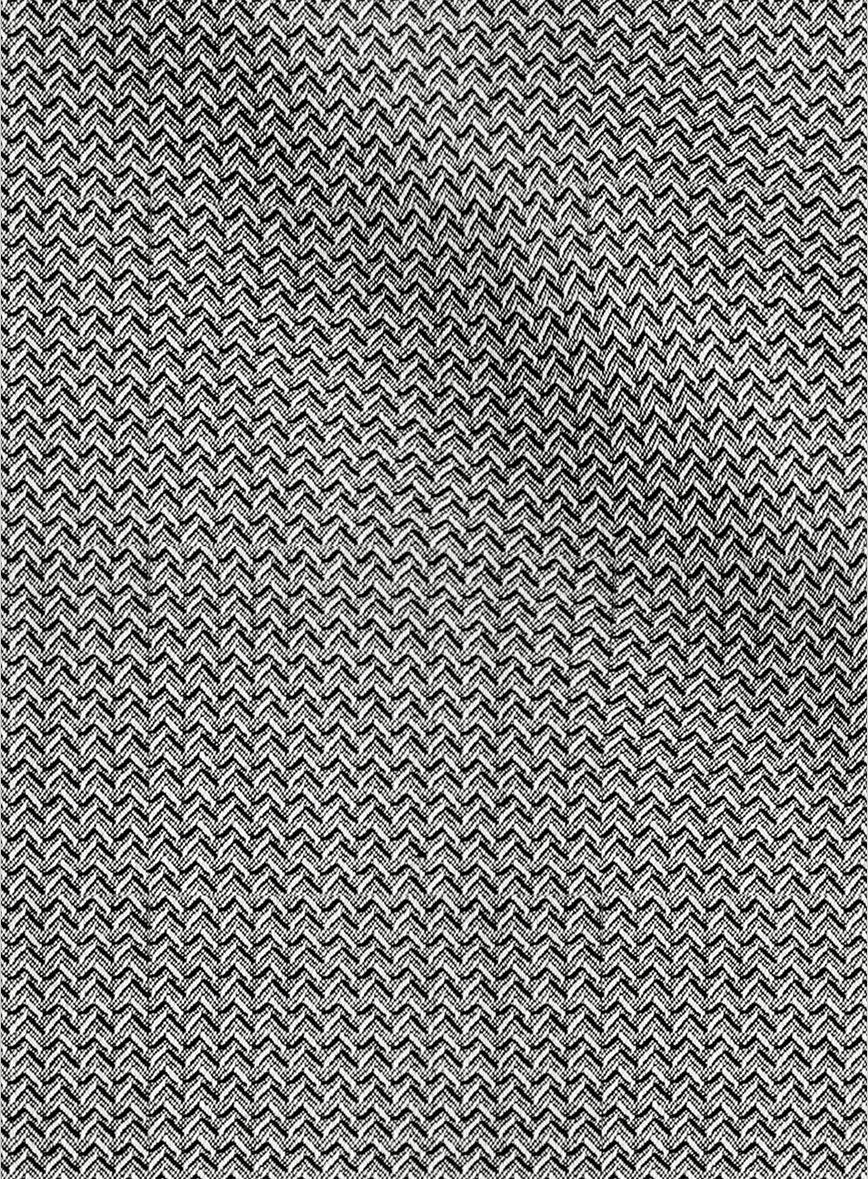 Napolean Dalmoro Chevron Weave Black And White Wool Pants - StudioSuits