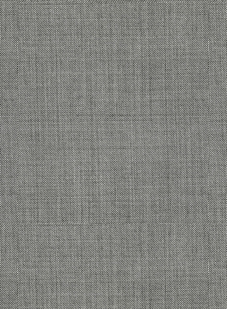 Napolean Sharkskin Light Gray Wool Jacket - StudioSuits