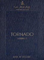 Scabal Tornado Stripes Gray Blue Wool Jacket - StudioSuits