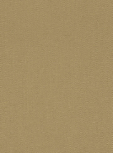 Tan Feather Cotton Canvas Stretch  Jacket - StudioSuits
