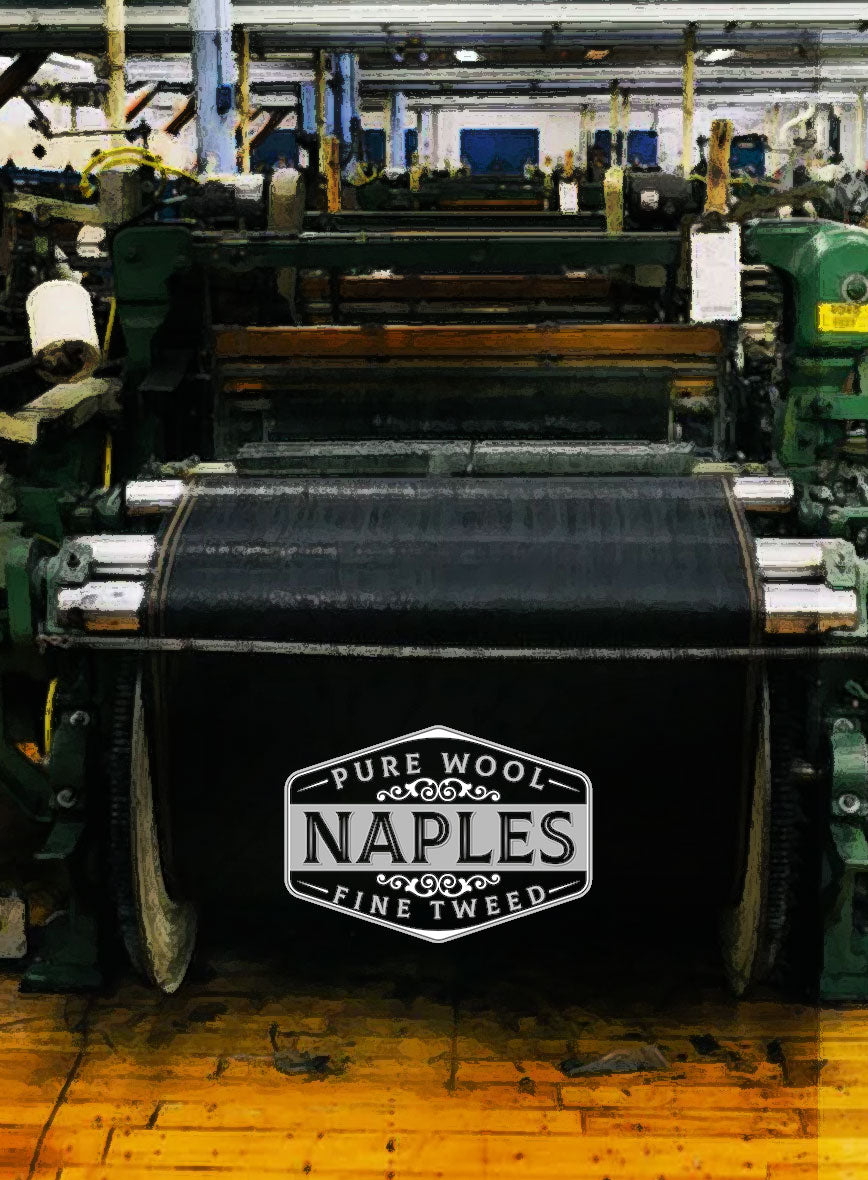 Naples Muted Beige Tweed Pants - StudioSuits