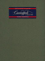 Caccioppoli Cotton Gabardine Oak Green Suit - StudioSuits