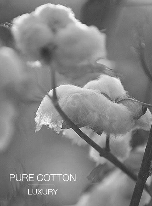 Cotton Alleo Blue Pants - StudioSuits