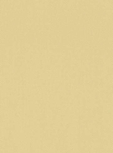 Italian Latte Beige Cotton Stretch Jacket - StudioSuits