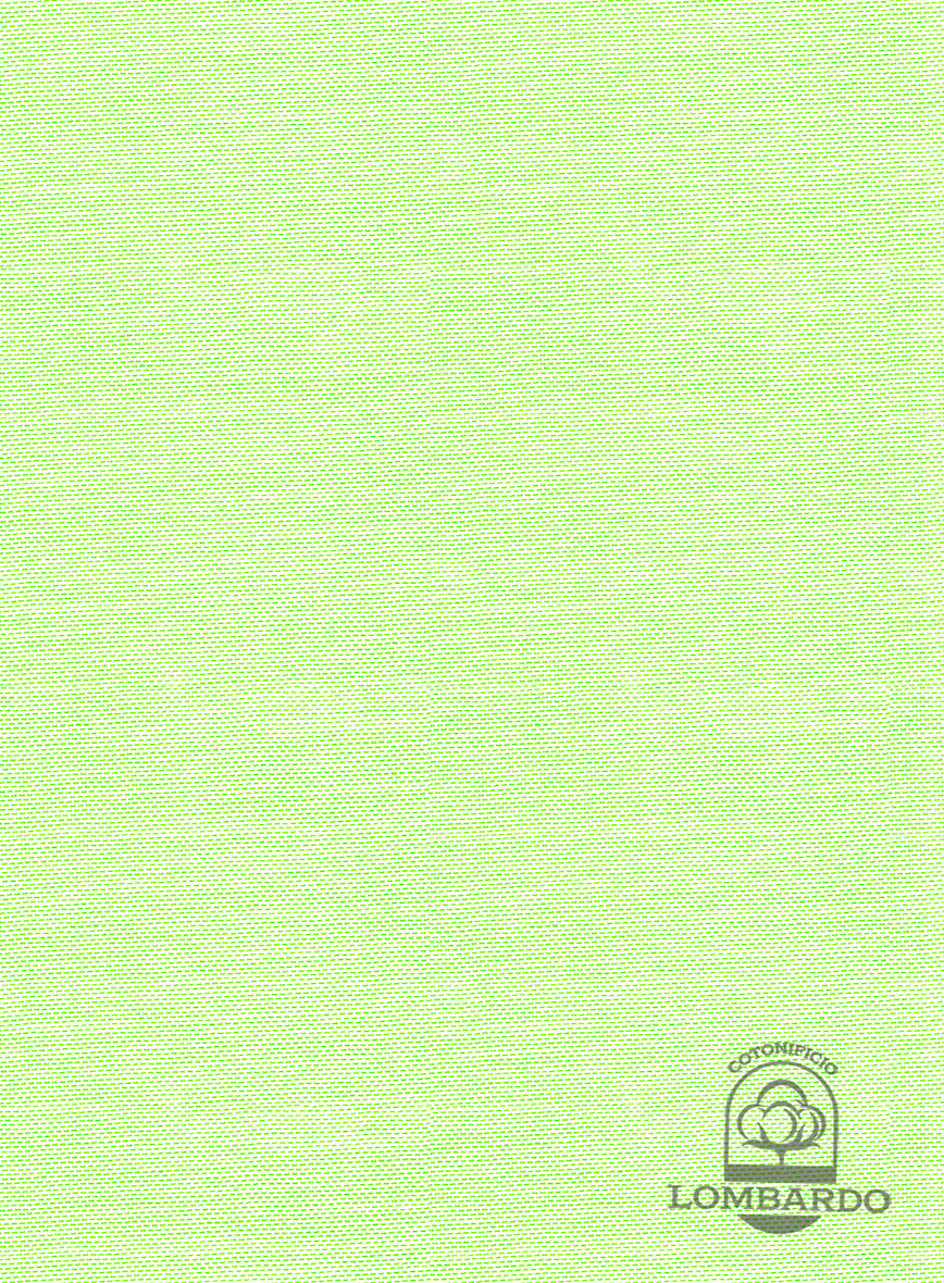 Italian Lombardo Mint Green Shirt - StudioSuits