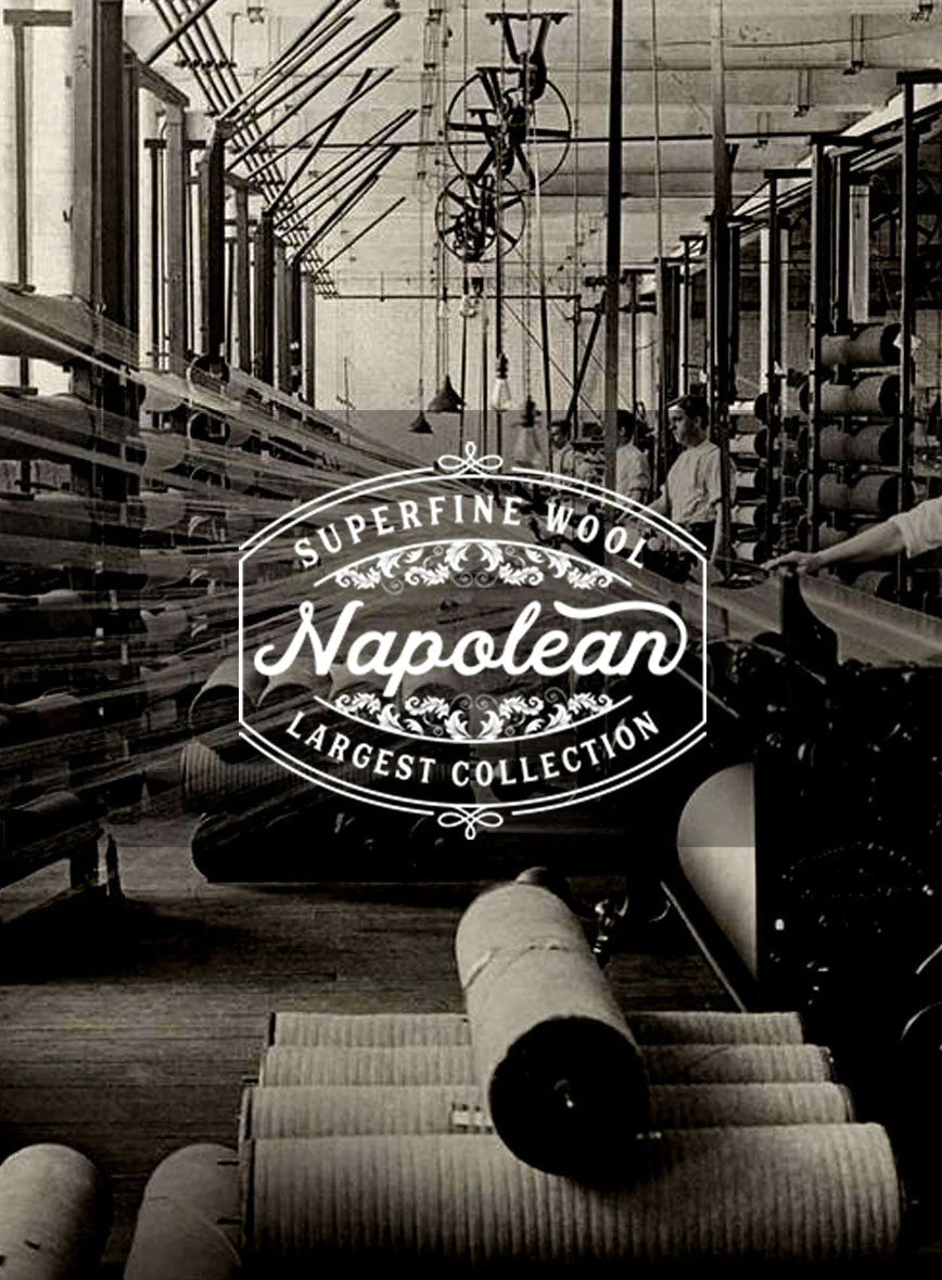 Napolean Wide Stripe Blue Wool Pants - StudioSuits